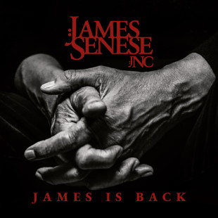 James Senese - Cover James is back (1)