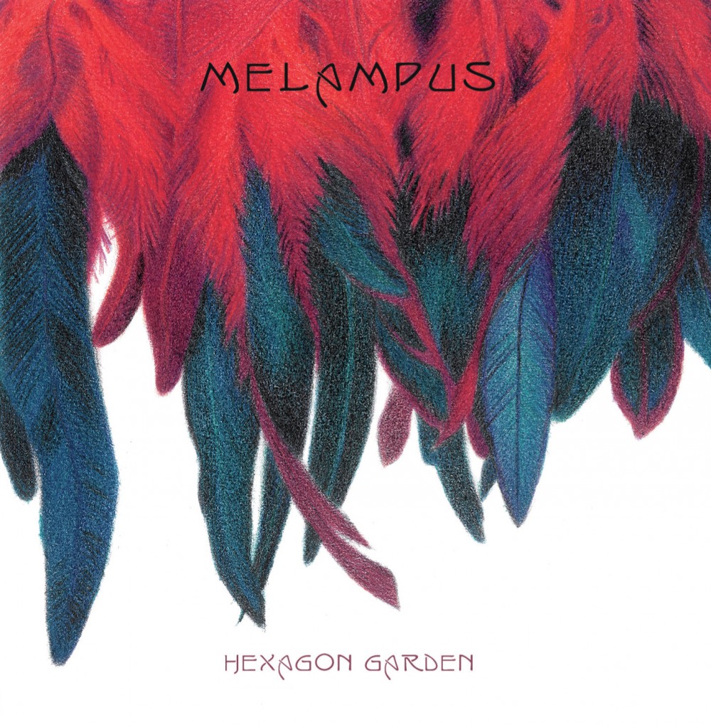 melampus-Hexagon-Garden