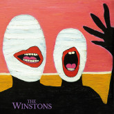 recensione_the-winstons_IMG_201601