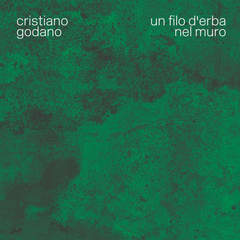 Cover Un filo d'erba nel muro